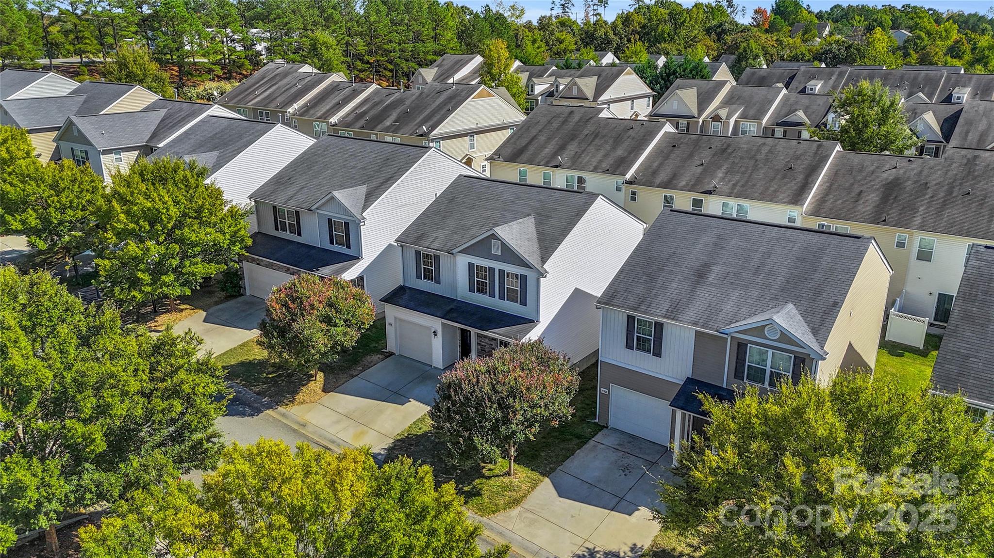 14312 Evening Flight Lane