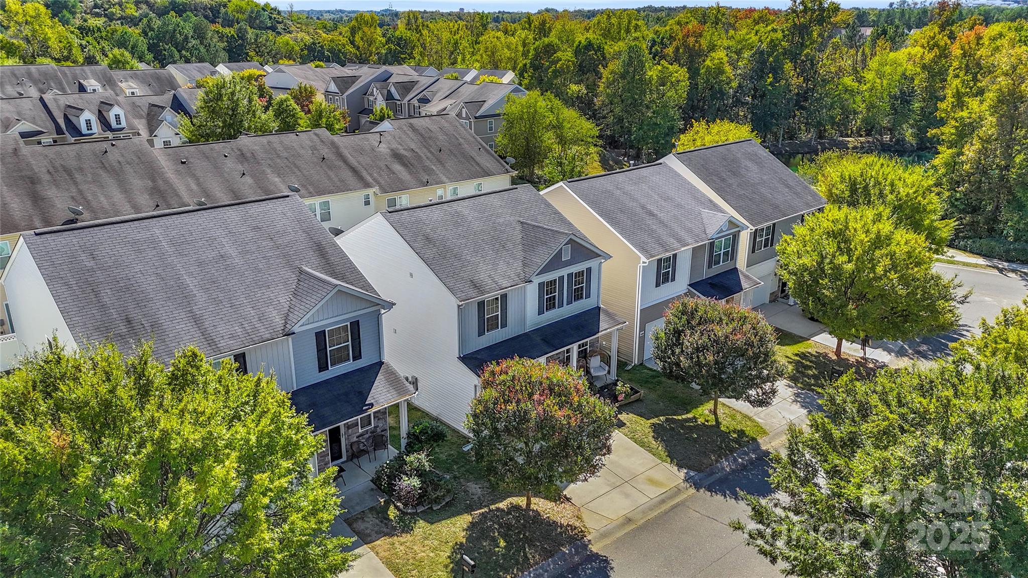 14312 Evening Flight Lane