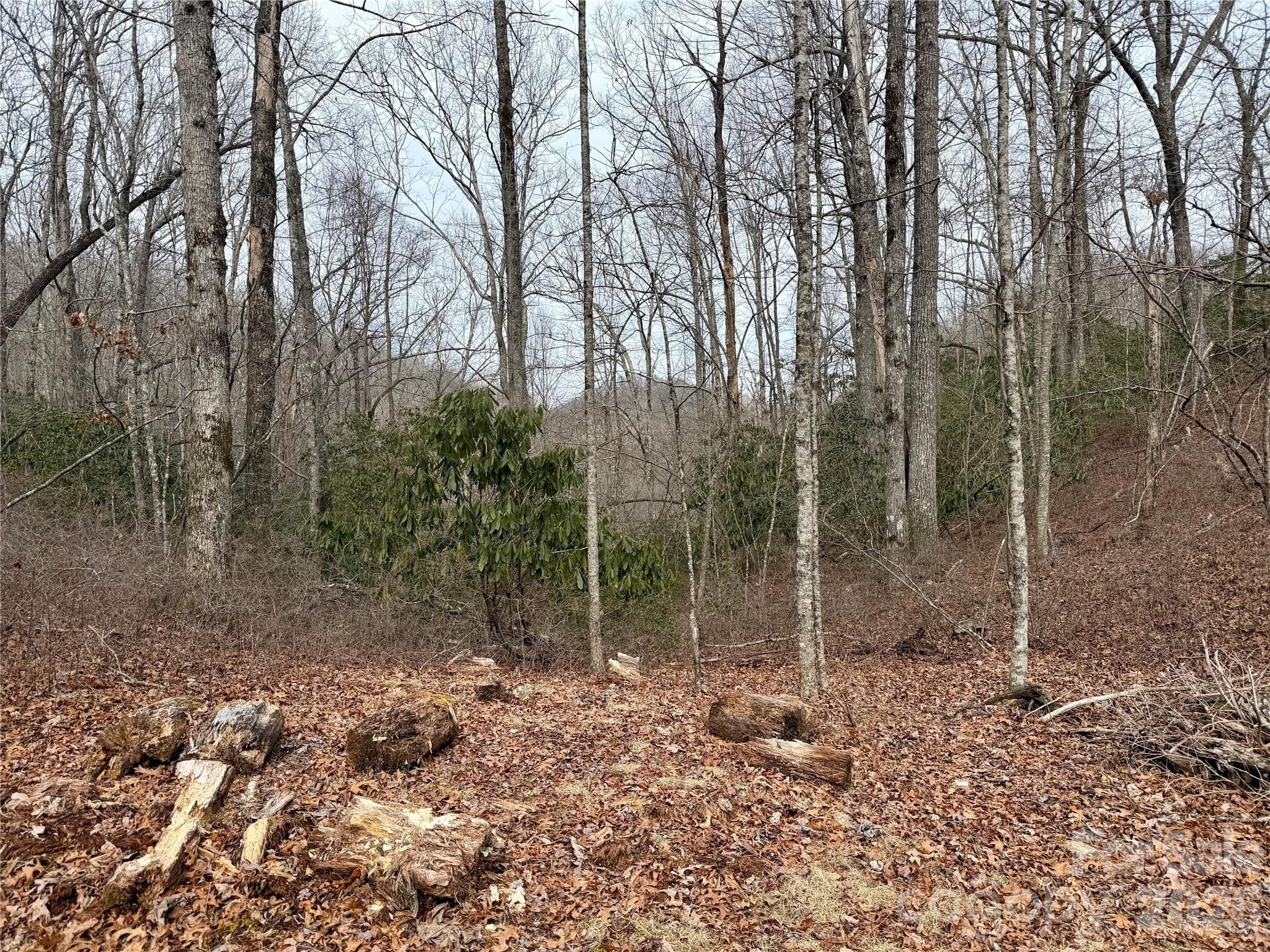 Indian Camp Mountain - Residential