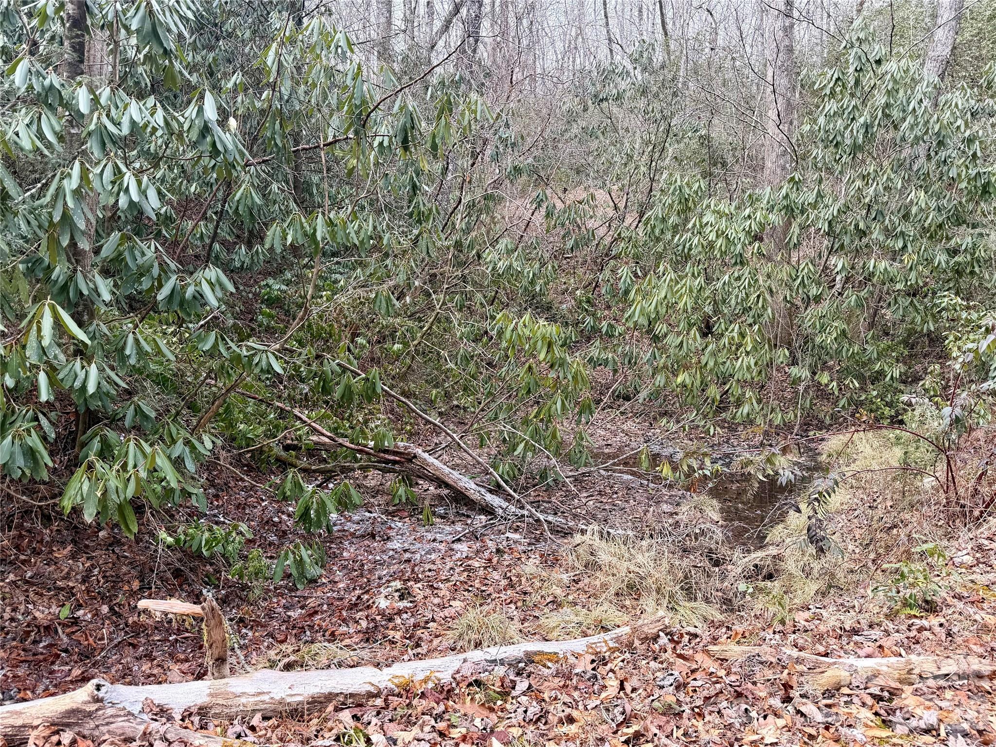 Indian Camp Mountain - Residential