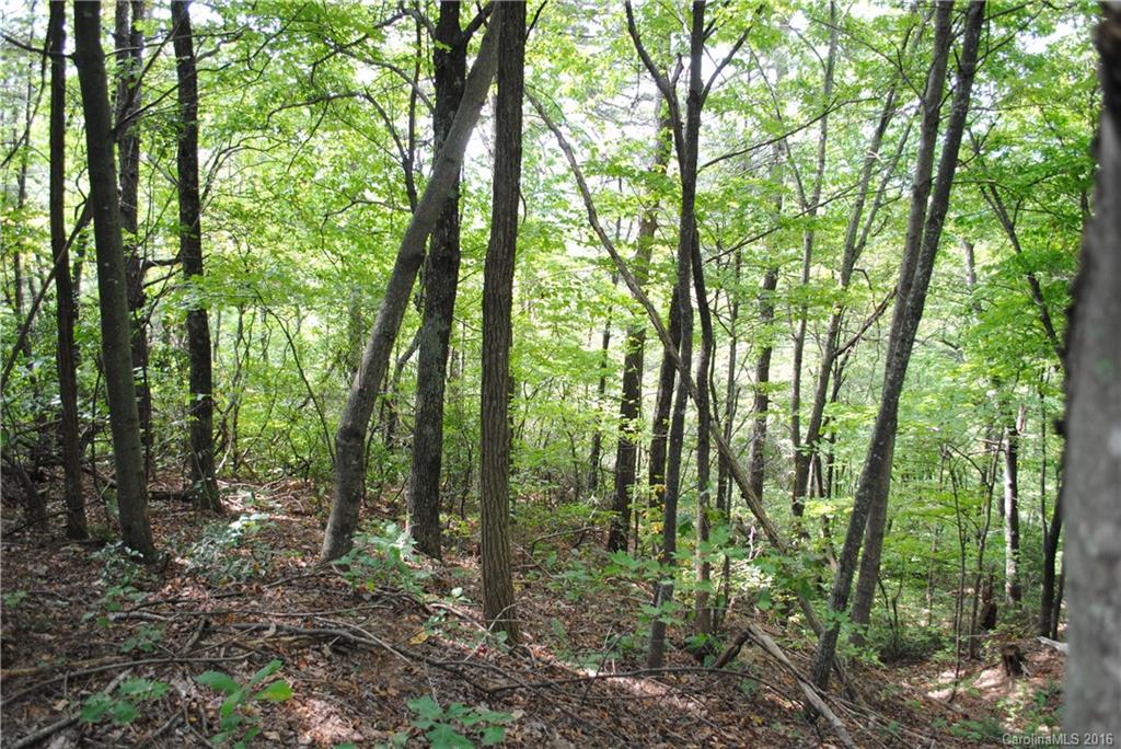 Gateway Mountain - Land