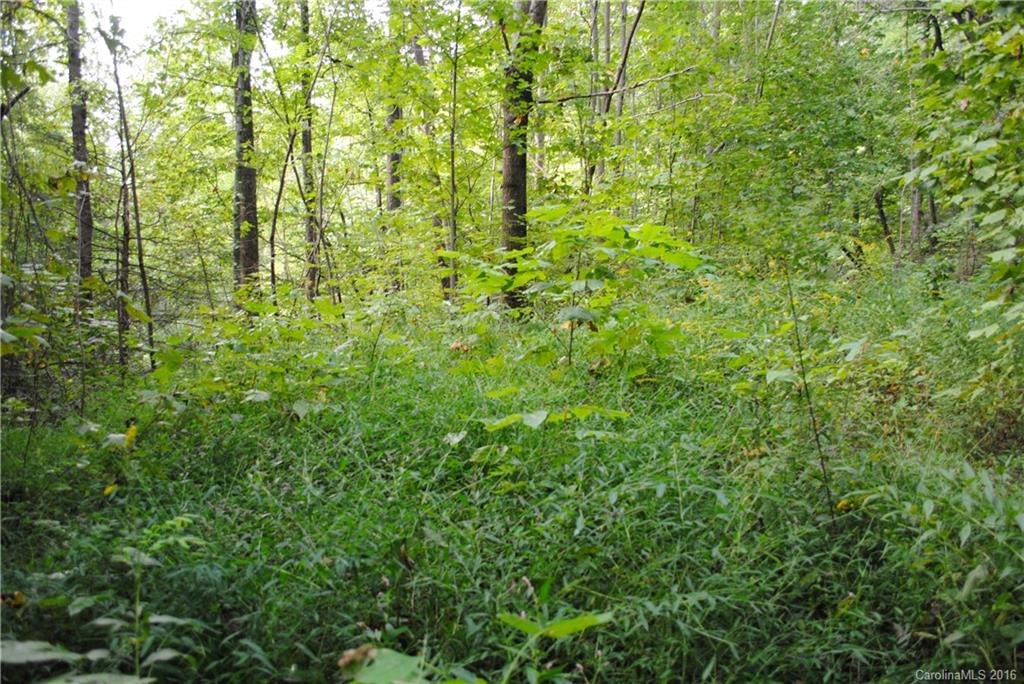 Gateway Mountain - Land