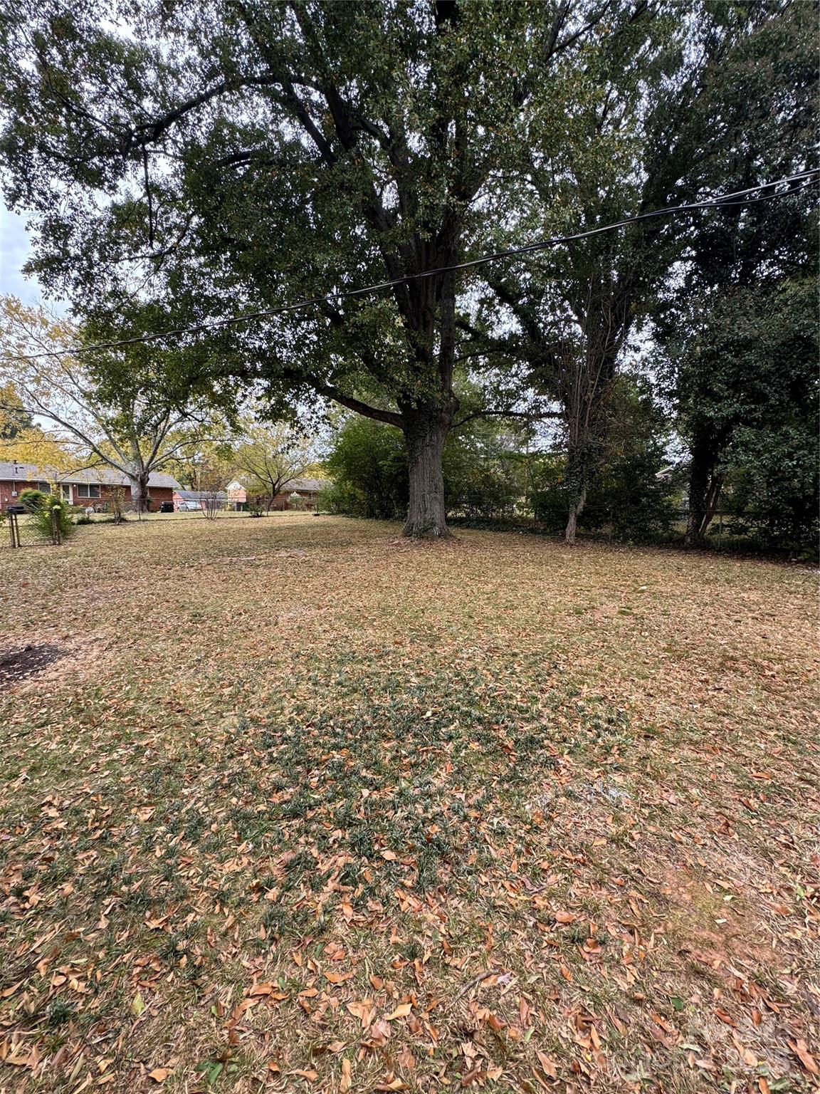 831 White Plains Road