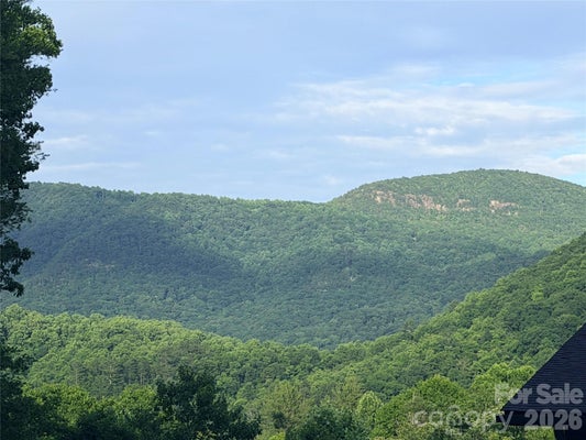 SILVERGLEN WAY, HENDERSONVILLE, NC 28792 - Image 3dbb026d133f86ec32bd809cb3e8e8ad/2876195877