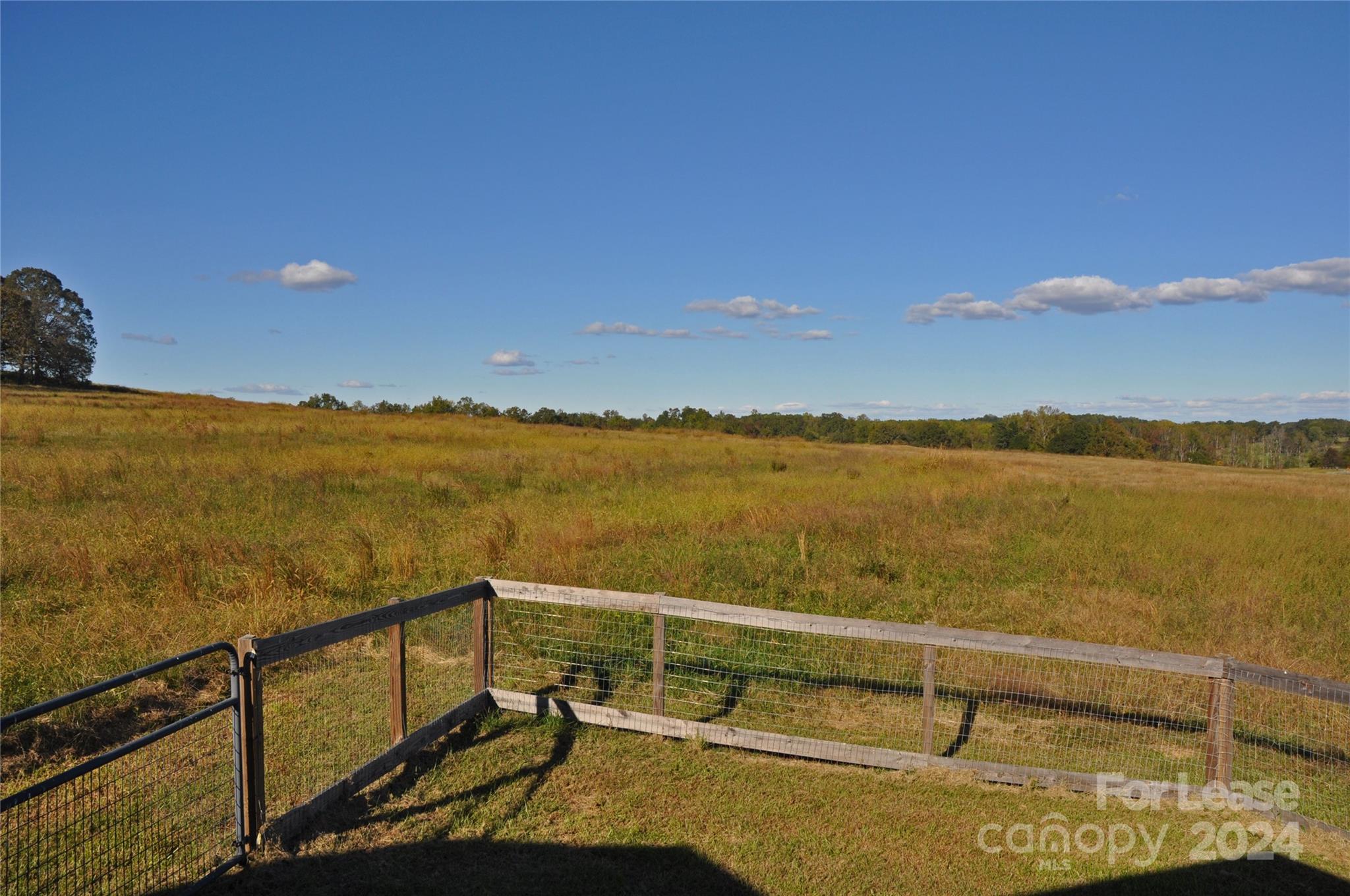 None - Residential Lease