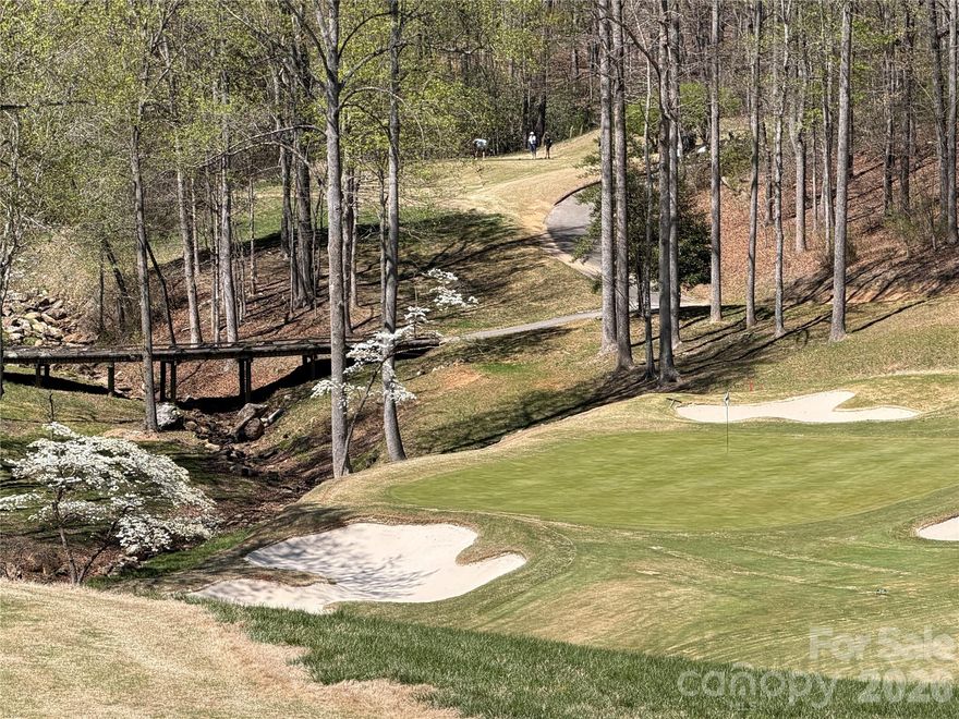 Overlooking the 16th green, a sweet par 3, with views of Deep Gap mountain as the backdrop; this lot is perfect for your next home! With a gentle slope from front to back, any quality builder will be delighted to create your dream home here. Brights Creek community features a Tom Fazio designed championship course, first-class amenities for all which include an outdoor pool, tavern, bowling lanes, fitness center, and even equestrian facilities. Lake Adger is only a few miles away for your water sports! The Greenville/Spartanburg airport is less than 1 hours away, making this a fine location for a second home with easy access. Call me up to schedule a tour. You will be happy that you did!