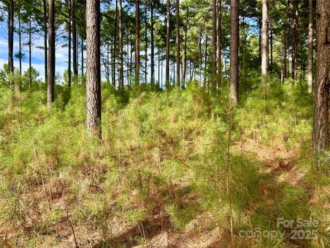 Photo of 224 Plantation Way, Mount Gilead, NC 27306 (MLS # 4296222)