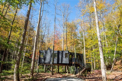 Photo of 195 Still Waters Lane, Brevard, NC 28712 (MLS # 4379883)