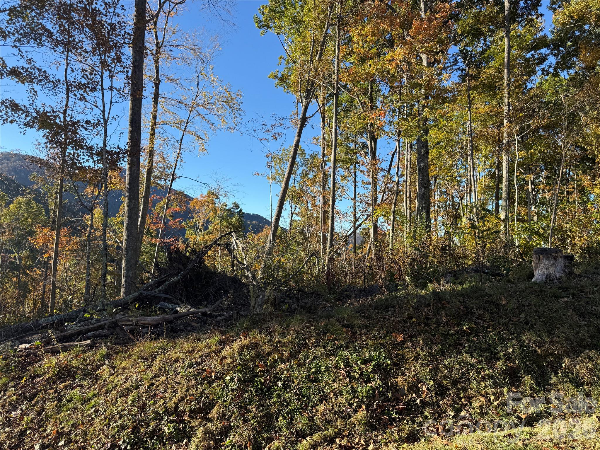 Lot 6 RidgeRunner Road S