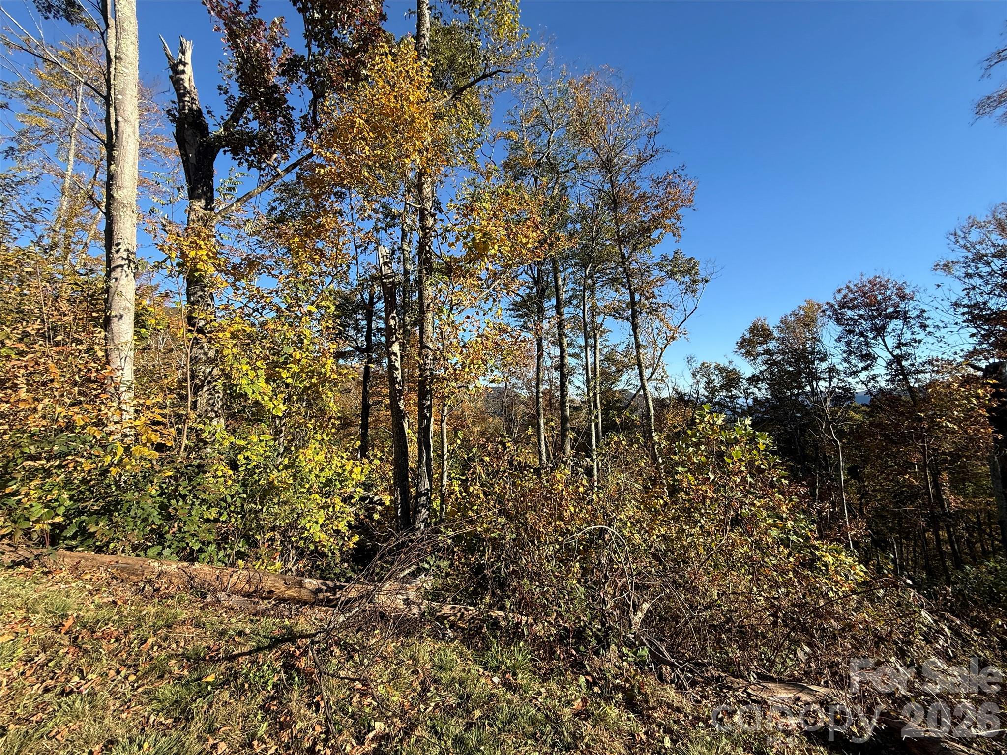 Lot 6 RidgeRunner Road S