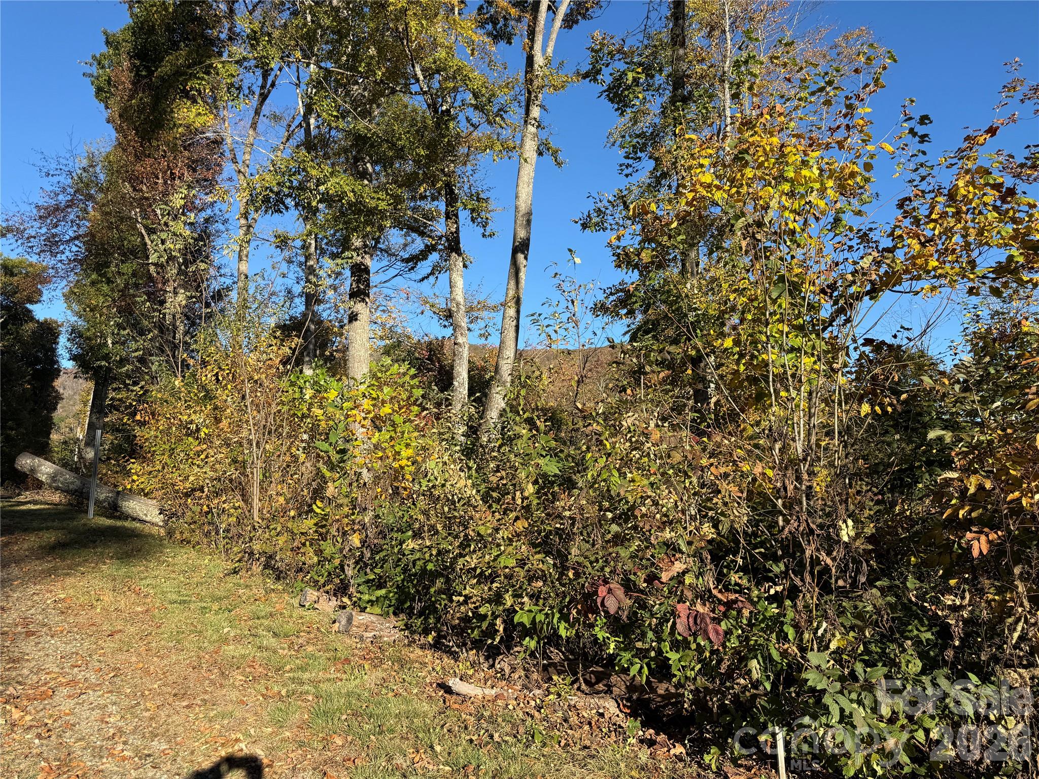 Lot 6 RidgeRunner Road S