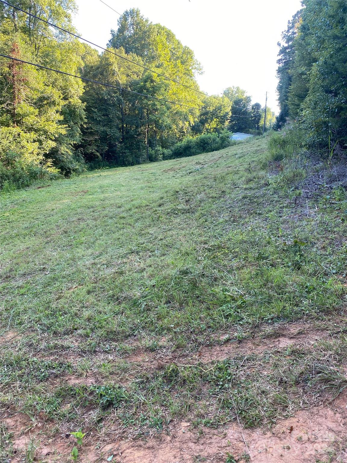 00 Paradise Lane