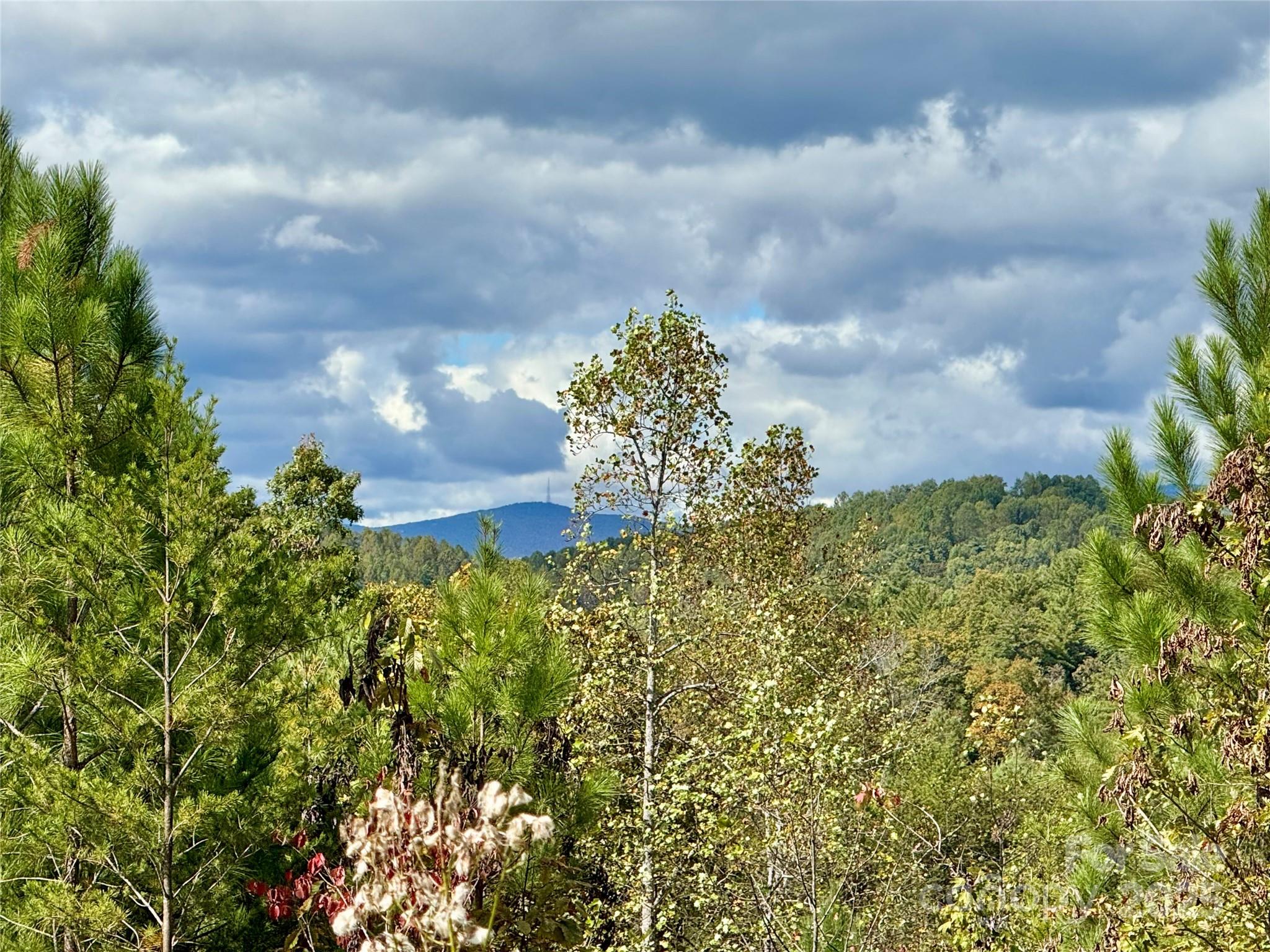 The Coves Mountain River Club - Land