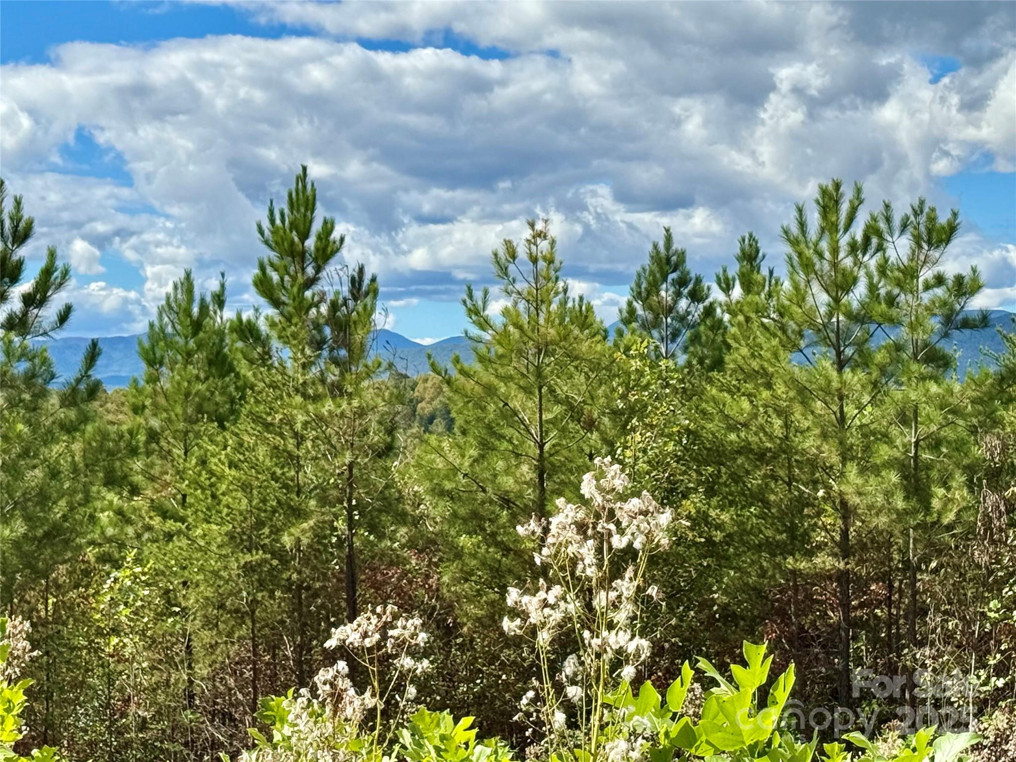 The Coves Mountain River Club - Land