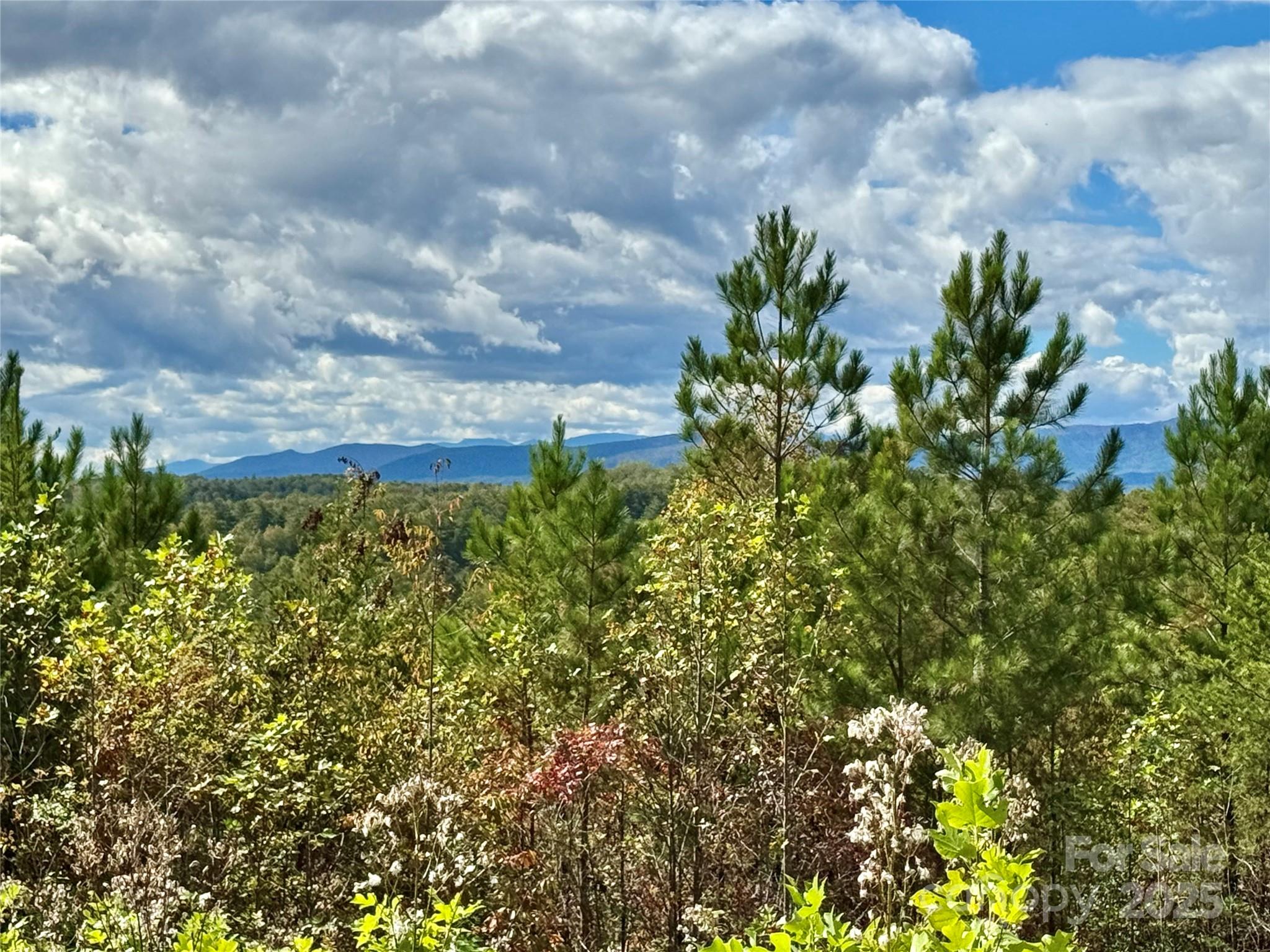 1.17 Acres 4805 Low Valley Way Lot 956