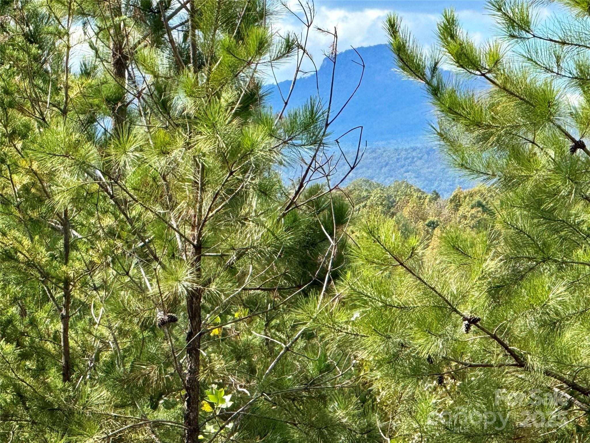 The Coves Mountain River Club - Land