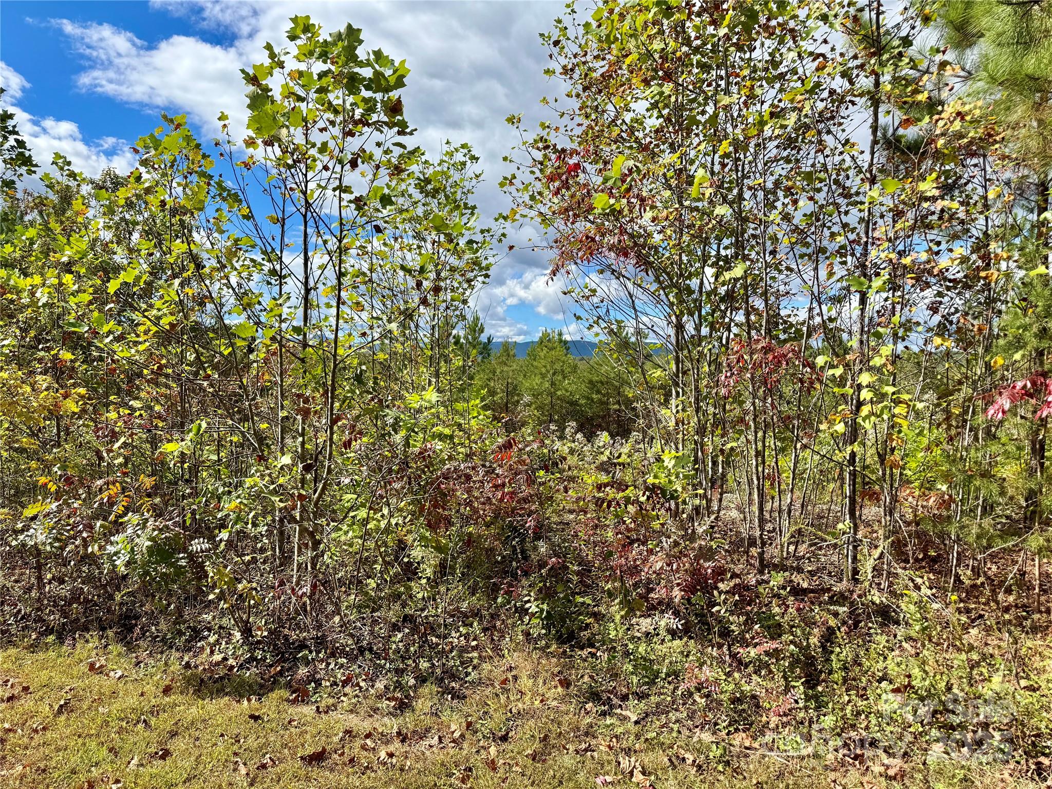 1.17 Acres 4805 Low Valley Way Lot 956