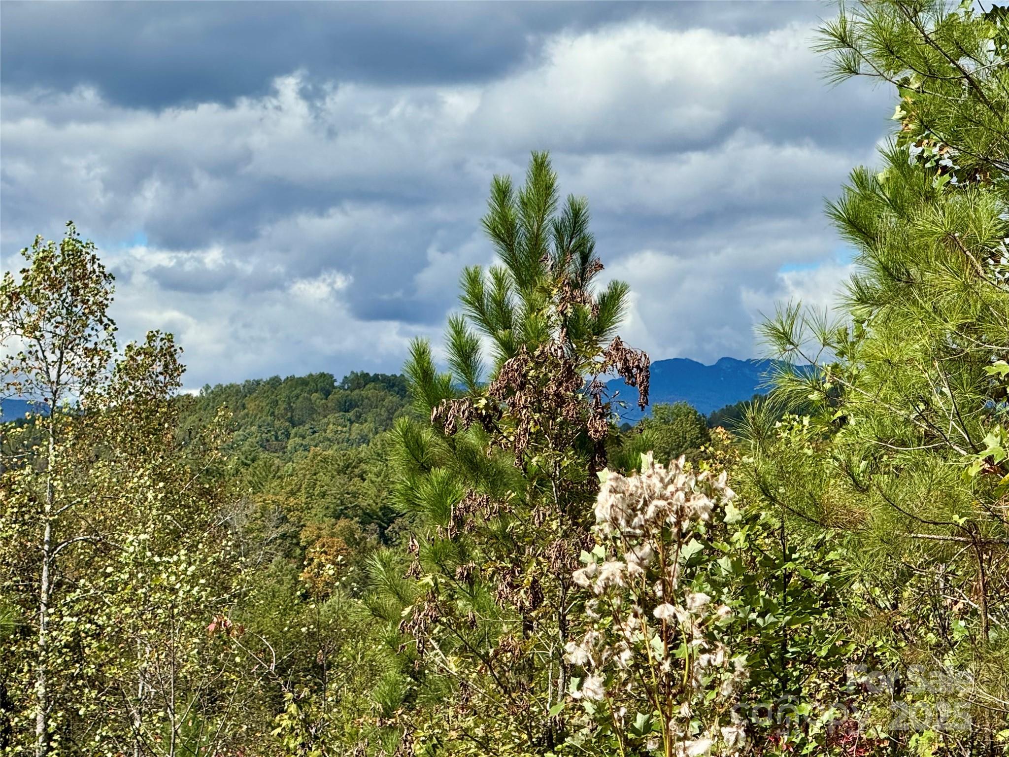 The Coves Mountain River Club - Land