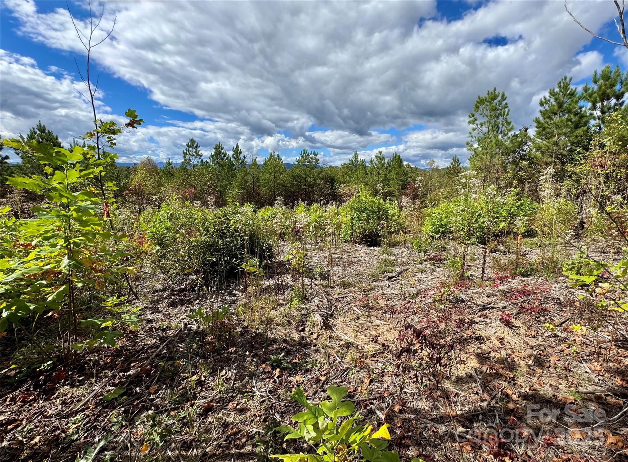 1.17 Acres 4805 Low Valley Way Lot 956