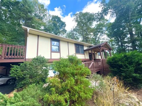 17 Brandywine Lane Asheville NC 28805