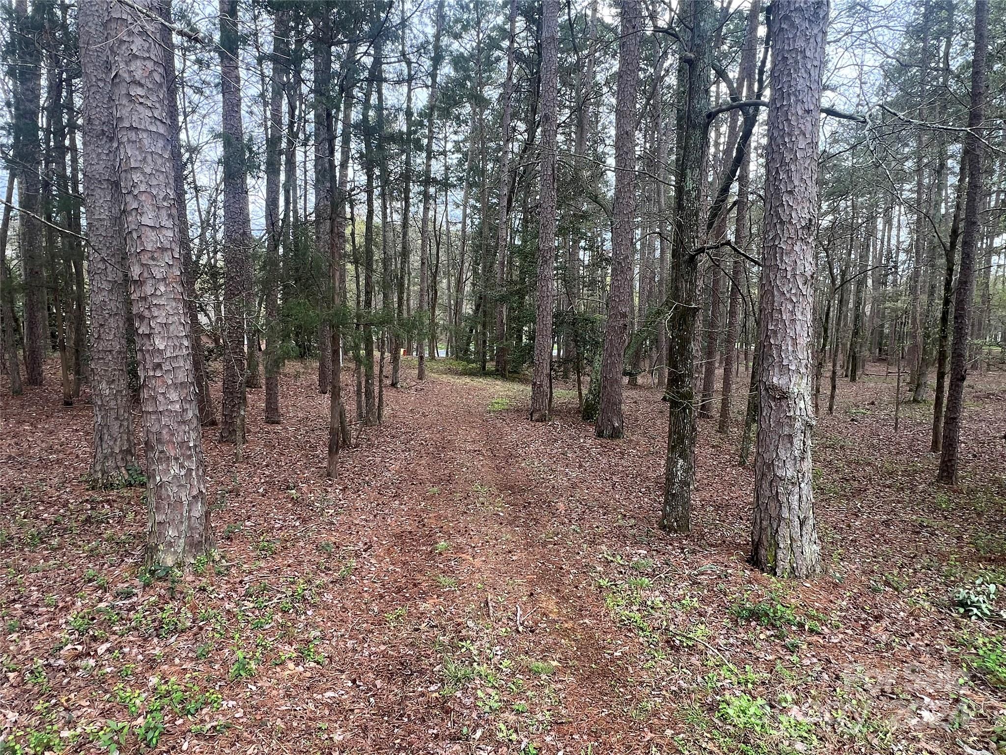 123 Coggins Mine None