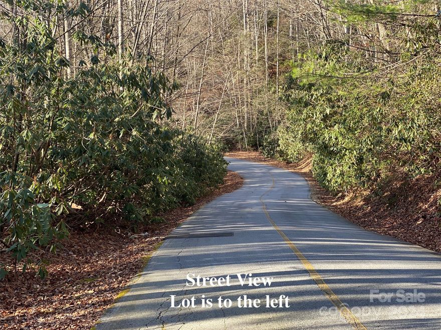 PRICE REDUCED FOR QUICK SALE! Enjoy all the amenities that Sapphire Valley has to offer - Golf, tennis, pool, fitness club, trails, lake, community events and so much more. And be close to Cashiers, Highlands and Lake Toxaway! Carolina Water can provide water - $500 tap fee, $50 meter. No Septic permit on file with county health department. Sorry, no Tiny Homes permitted in this subdivision, Buyer is advised to confirm all information in this listing with their own independent sources.