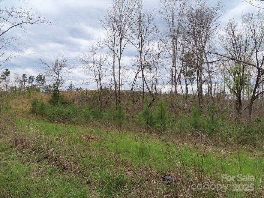 Located about 7 miles west of York off Hwy 5, this tract of land would make a wonderful homesite. With a new house perched on the hill, you will have a fantastic view and feel like you are in the mountains. There is a wide flowing creek on the property to relax by, and enough land to hunt, camp and enjoy nature. The new buyer can put the property in farm use for tax purposes and the taxes should be around $100 per year +-.
The property is located beside 279 C E Stewart Rd & across the street from 316 C E Stewart Rd( for GPS). 
Clover address but York School district #1
There is a possibility of the land being split into 2 lots by the new owner. It would require an application being submitted to the planning commission.
Seller will be burning the debris located on the left side of the land.