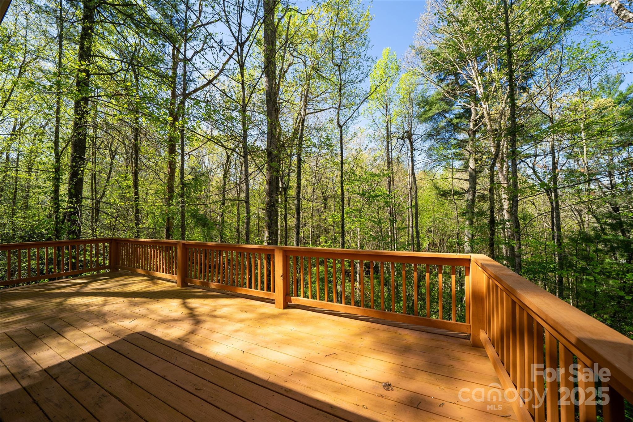 Jeter Mtn Terrace - Residential