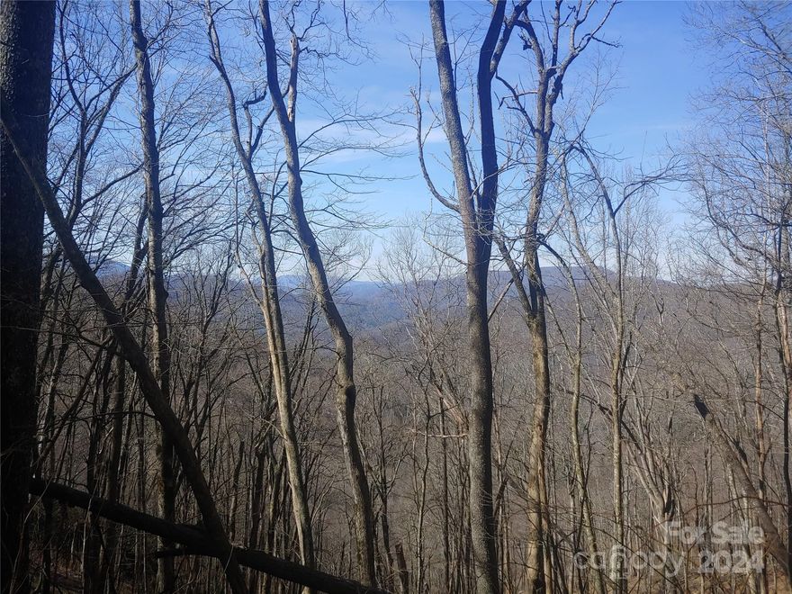 Great elevation view lot. Top of the world with views of National Forest. Community water available. Restrictions only require 800sf.