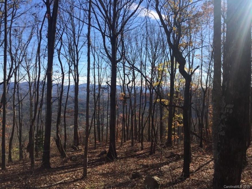 Southcliff is a private, 400 acre community with 175 acres of green space. Just 7.5 miles from downtown Asheville, we offer a park-like setting, picnic parks, children's treehouse, pavilion and over 6 miles of lush hiking trails.