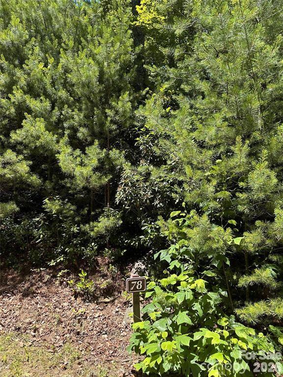66 Boone Cove Road, Zirconia, NC, 28790
