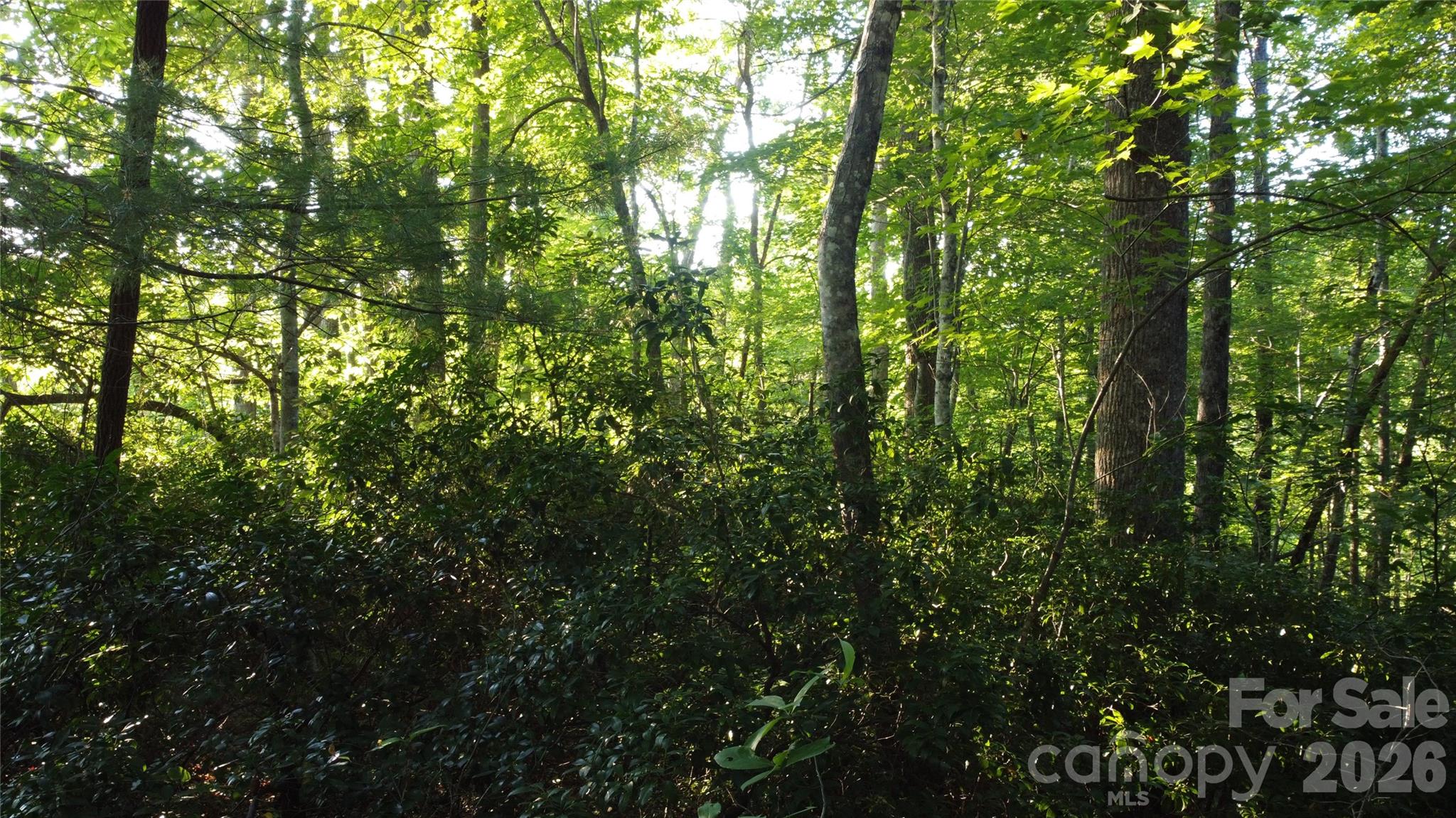 0000 Havens Creek Road 4