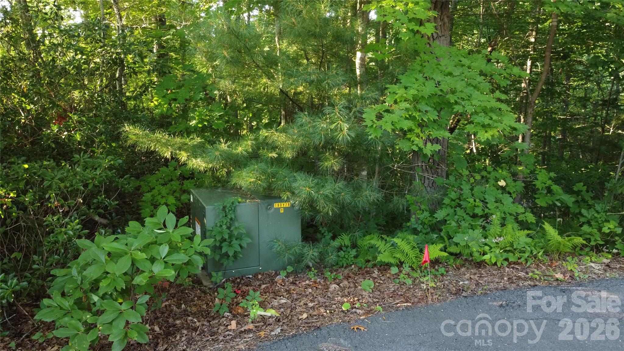 0000 Havens Creek Road 4