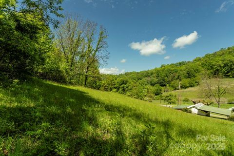 Off of Locust Creek Road Sylva NC 28779
