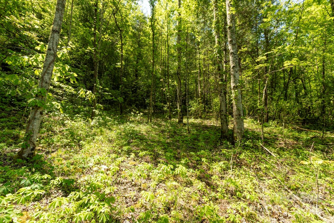 Off of Locust Creek Road