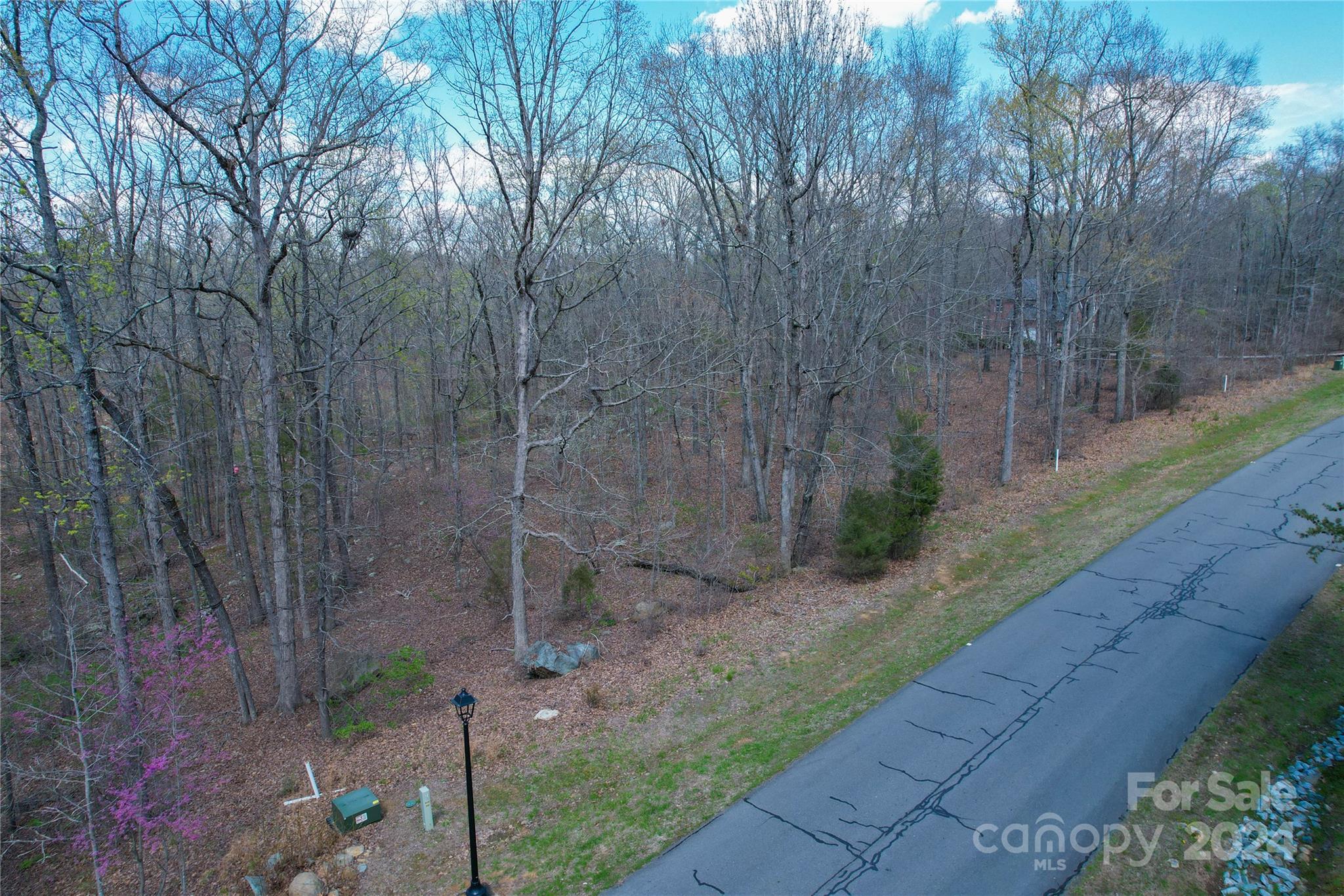 The Springs At High Rock - Land