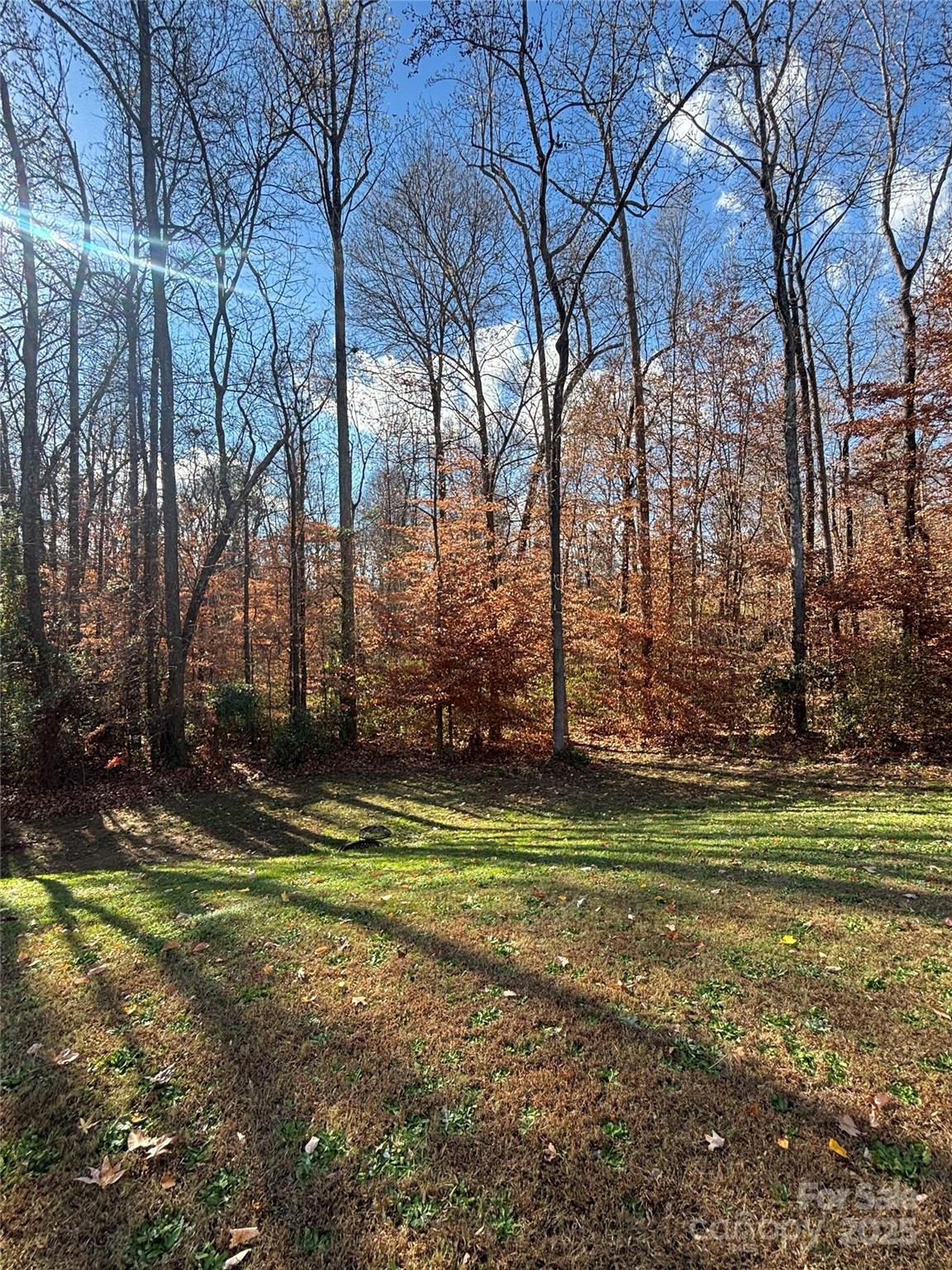 2814 Tancor Court 19