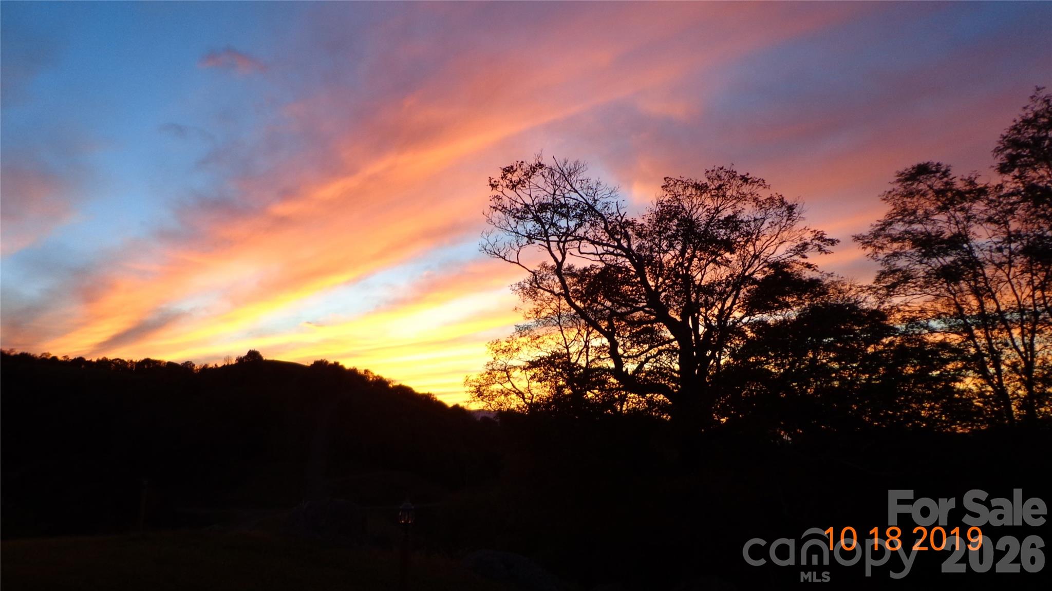 Turkey Trot Farms - Land