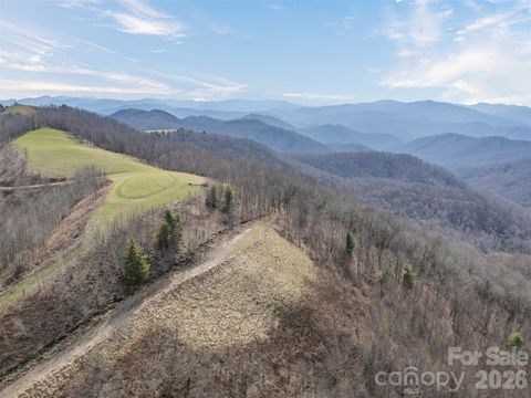 Photo of 1050 Turkey Trot Road, Clyde, NC 28721 (MLS # 4362854)