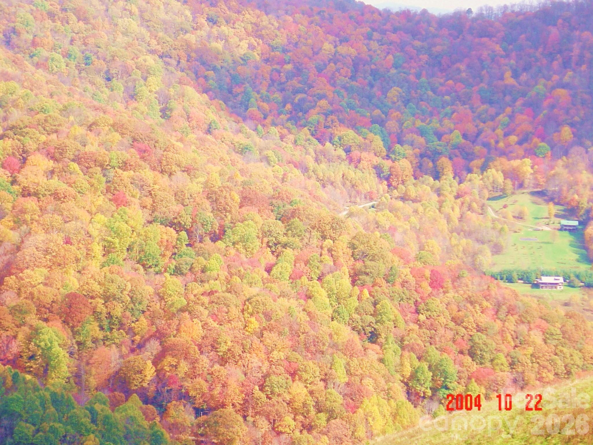 Turkey Trot Farms - Land