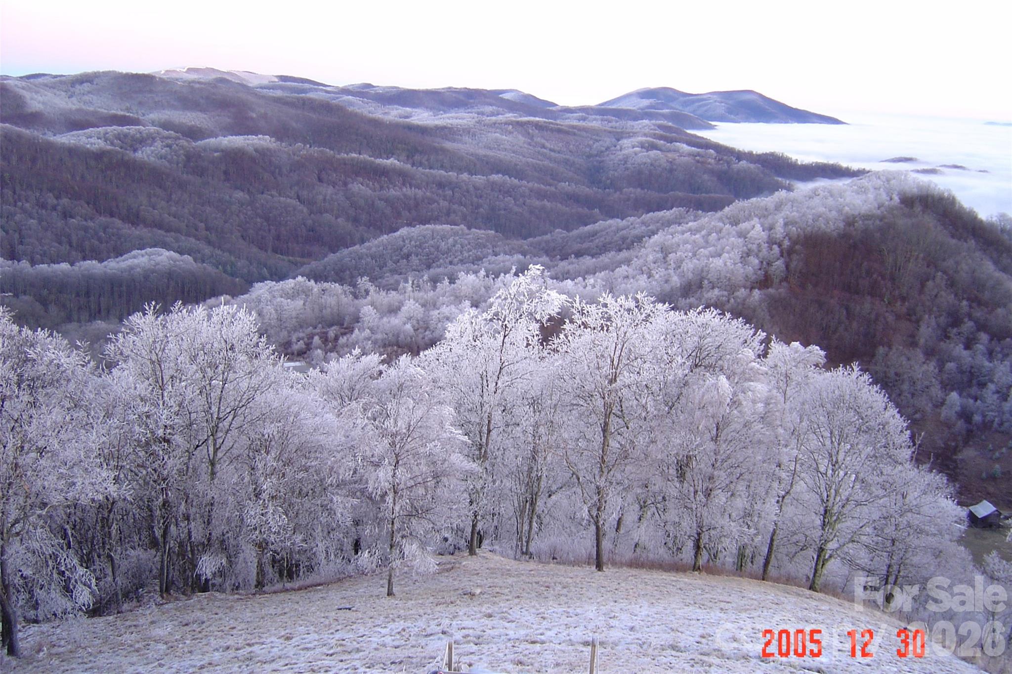 Turkey Trot Farms - Land