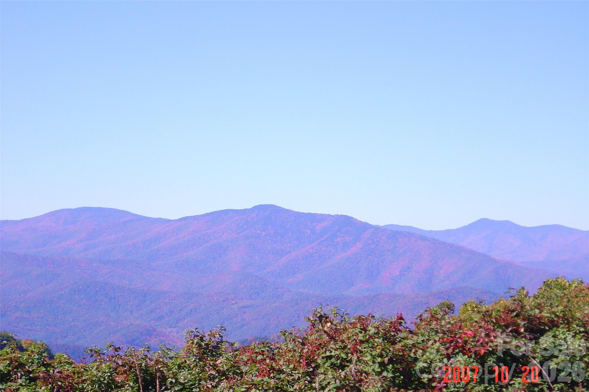 Turkey Trot Farms - Land