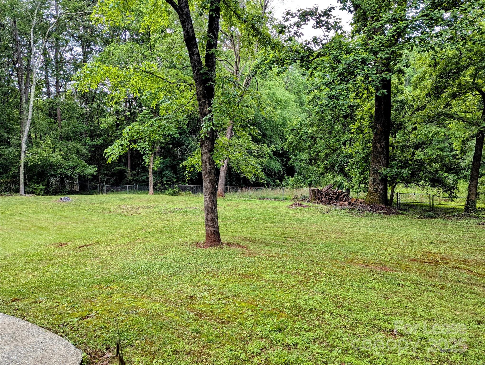 None - Residential Lease