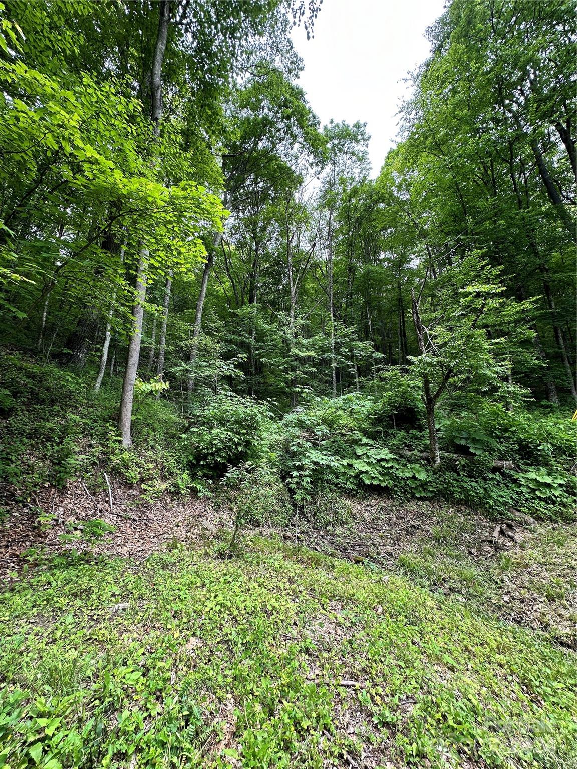 0 Laurel Ridge Road