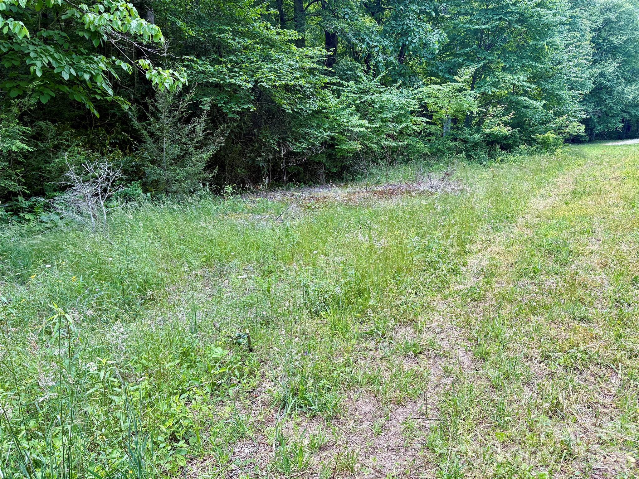 Alarka Creek Properties - Land