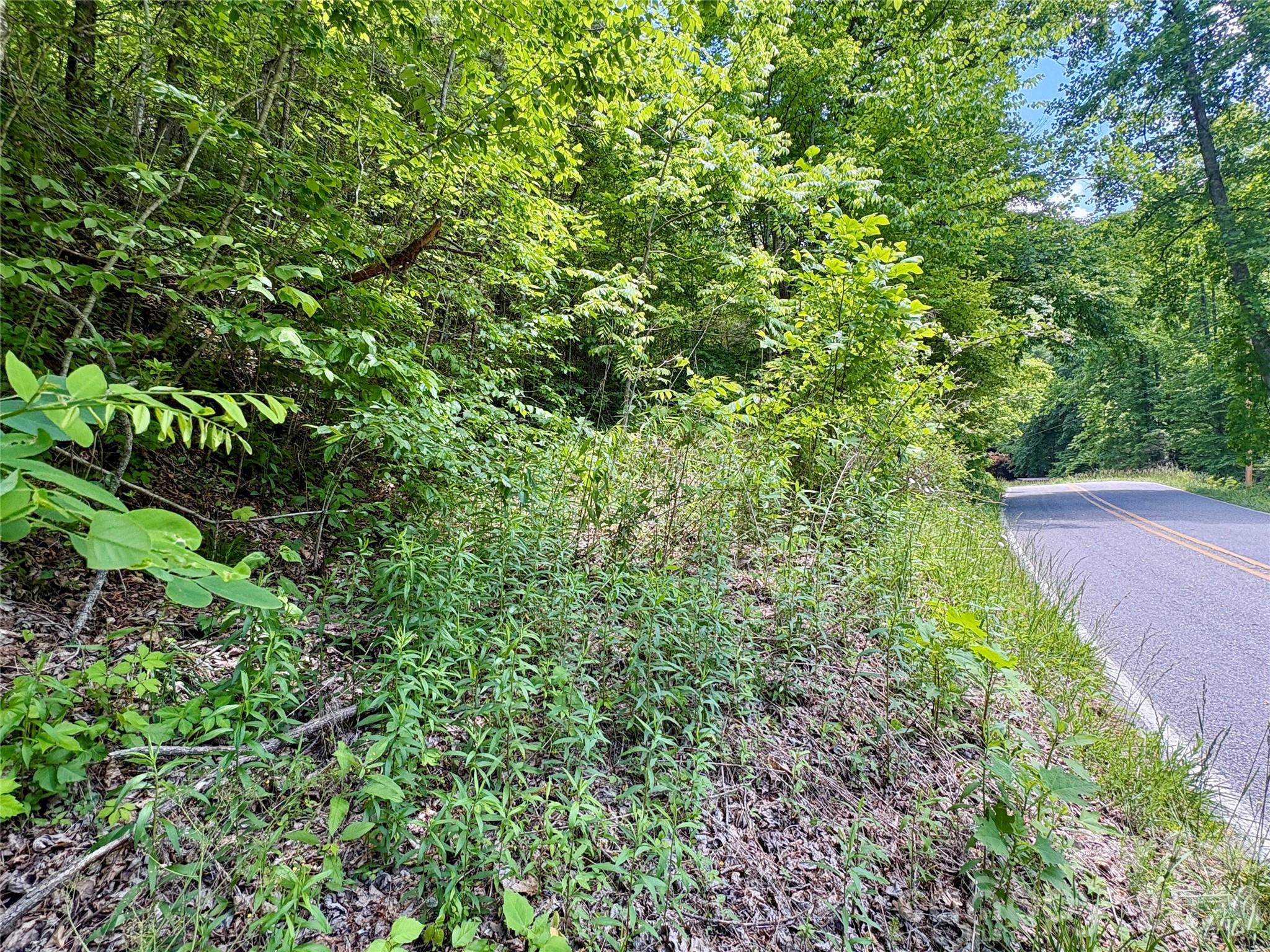 Alarka Creek Properties - Land