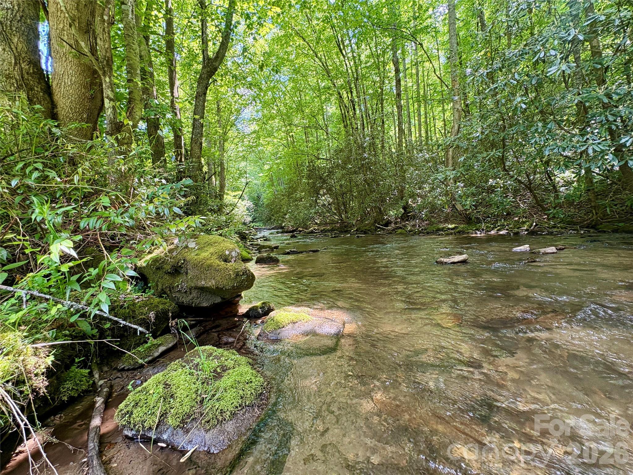 Alarka Creek Properties - Land