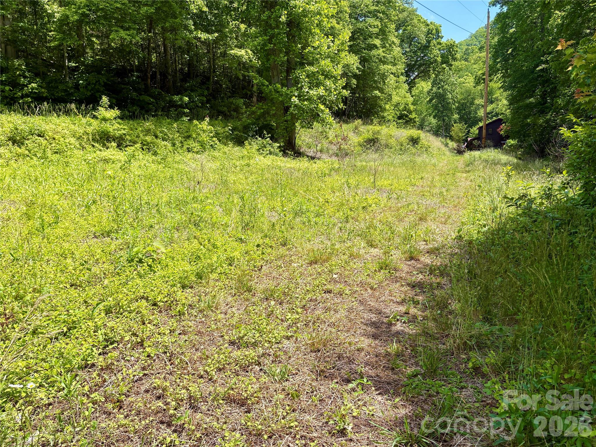 Alarka Creek Properties - Land