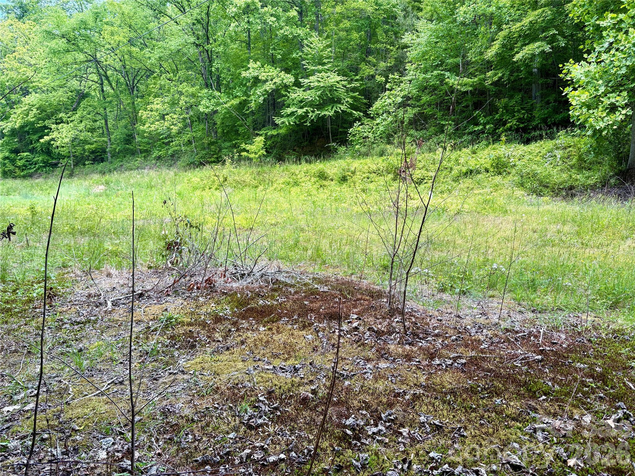 Alarka Creek Properties - Land
