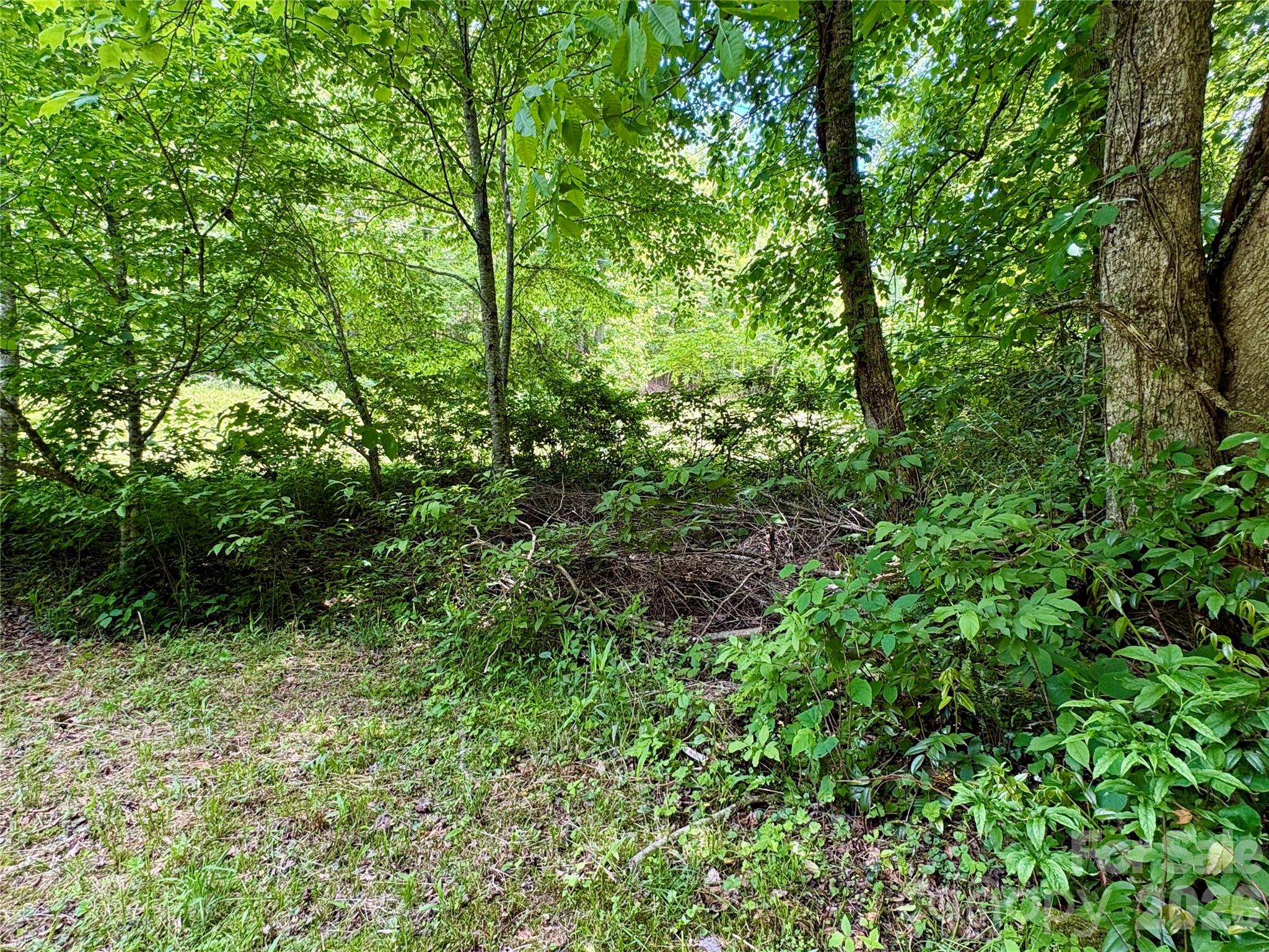 Alarka Creek Properties - Land